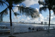 Бразилия, самостоятельное путешествие. Часть 3. Ресифе, Олинда, Рио-де-Жанейро