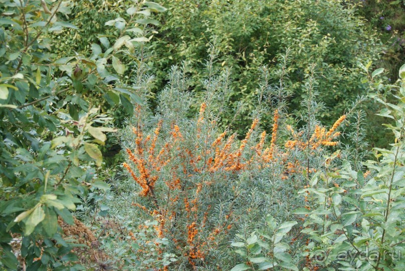 Полный восторг и огромное желание вернуться сюда еще не раз, именно такие ощущения вызывает Грузия