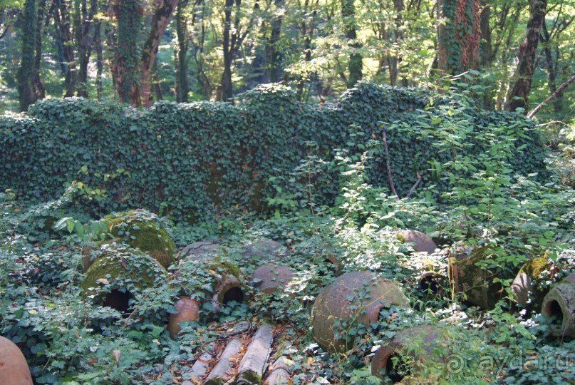 Полный восторг и огромное желание вернуться сюда еще не раз, именно такие ощущения вызывает Грузия