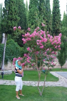 Полный восторг и огромное желание вернуться сюда еще не раз, именно такие ощущения вызывает Грузия