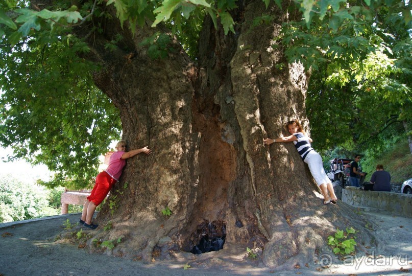 Полный восторг и огромное желание вернуться сюда еще не раз, именно такие ощущения вызывает Грузия