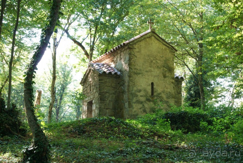 Полный восторг и огромное желание вернуться сюда еще не раз, именно такие ощущения вызывает Грузия