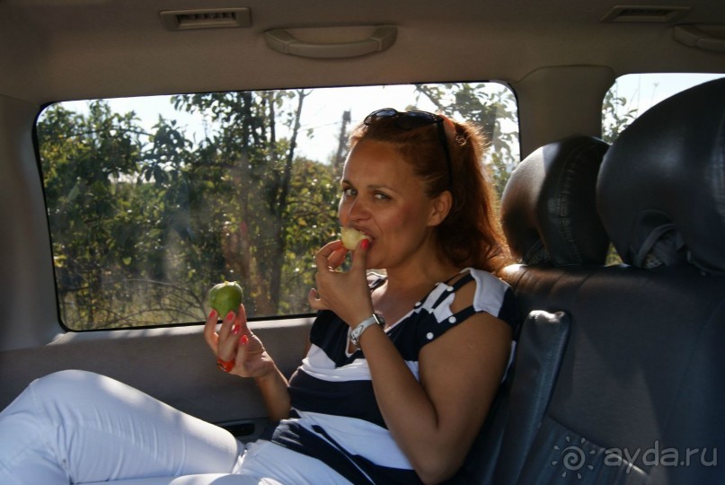 Полный восторг и огромное желание вернуться сюда еще не раз, именно такие ощущения вызывает Грузия