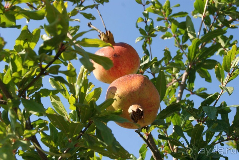 Полный восторг и огромное желание вернуться сюда еще не раз, именно такие ощущения вызывает Грузия