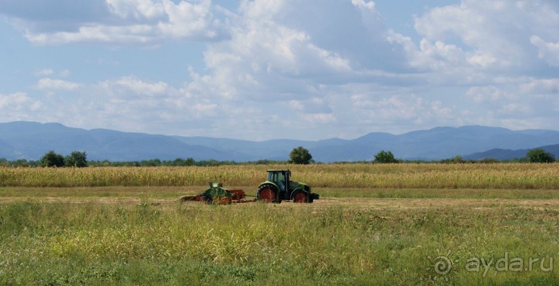 Полный восторг и огромное желание вернуться сюда еще не раз, именно такие ощущения вызывает Грузия