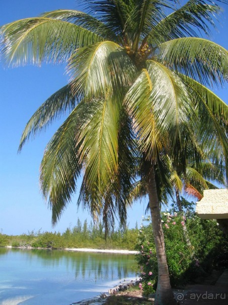 Куба - любовь моя:))