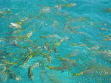 Куба - любовь моя:))