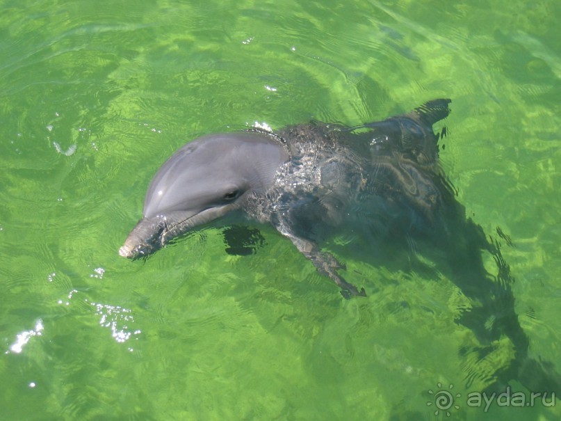 Куба - любовь моя:))