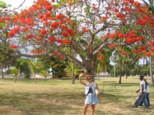 Куба - любовь моя:))