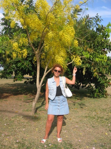 Куба - любовь моя:))