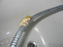 Куба - любовь моя:))