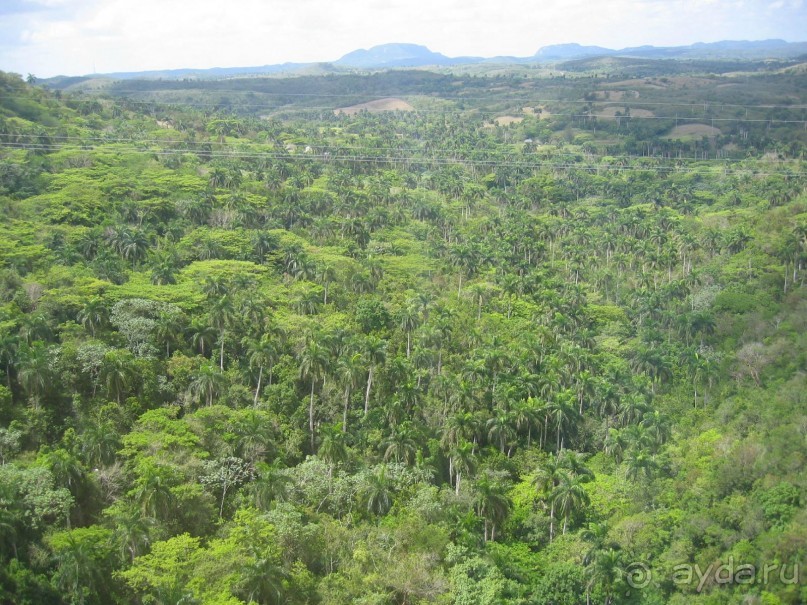 Куба - любовь моя:))