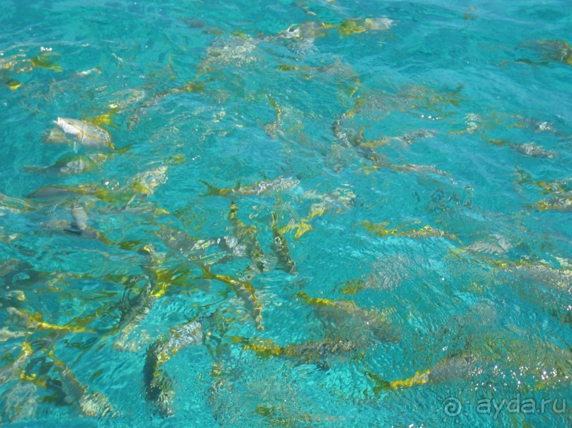 Куба - любовь моя:))