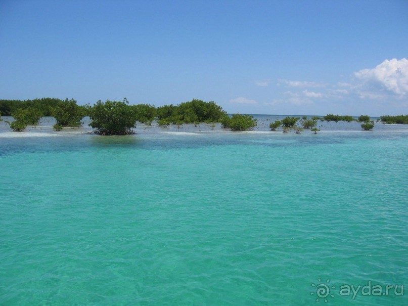 Куба - любовь моя:))