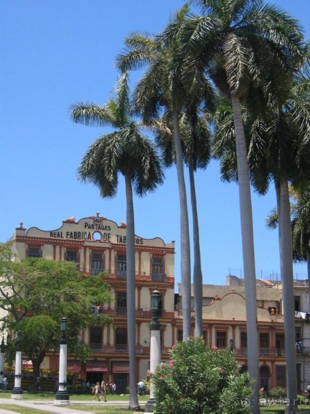 фото Gran Caribe Hotel Plaza