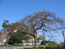 фото Gran Caribe Hotel Plaza