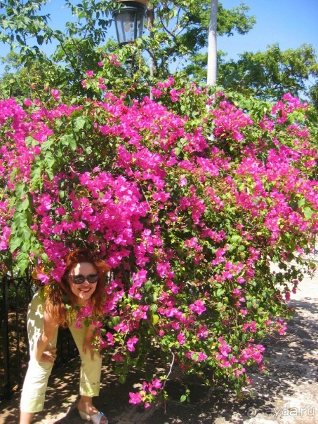 Старая Гавана