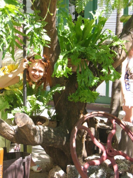 Старая Гавана