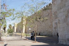 Дорогами Израиля...