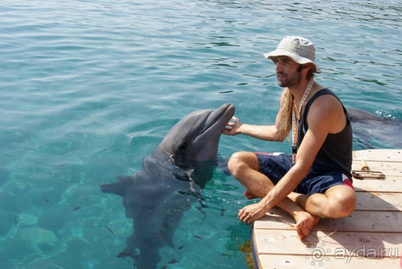 Дорогами Израиля...