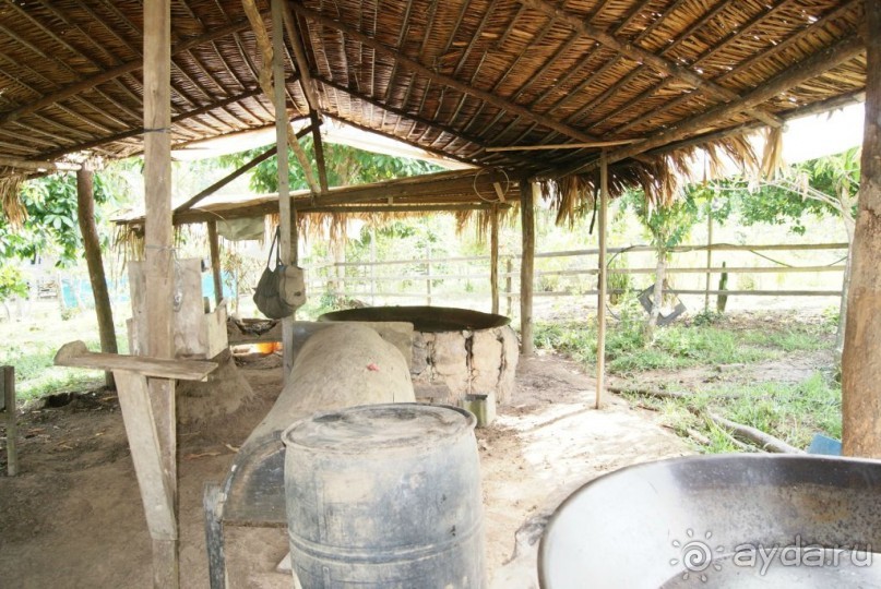 Бразилия, самостоятельные путешествия, часть 2. Манаус, Амазонка, джунгли