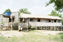 Бразилия, самостоятельные путешествия, часть 2. Манаус, Амазонка, джунгли