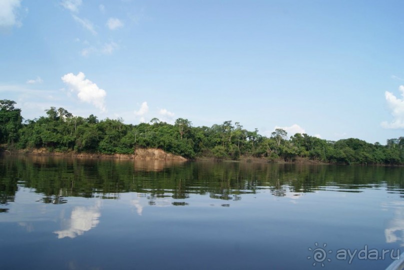 Бразилия, самостоятельные путешествия, часть 2. Манаус, Амазонка, джунгли