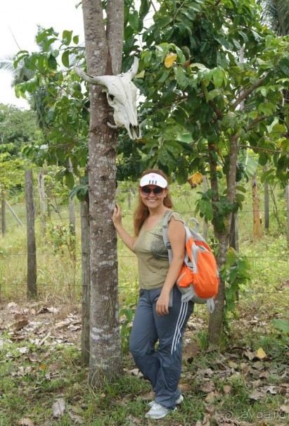 Бразилия, самостоятельные путешествия, часть 2. Манаус, Амазонка, джунгли