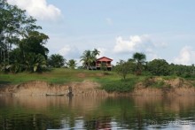 Бразилия, самостоятельные путешествия, часть 2. Манаус, Амазонка, джунгли