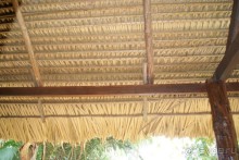 Бразилия, самостоятельные путешествия, часть 2. Манаус, Амазонка, джунгли