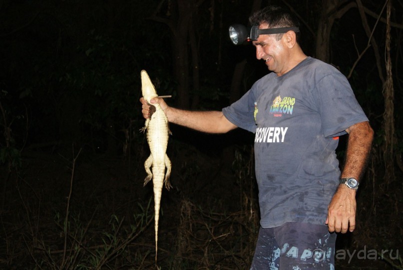 Бразилия, самостоятельные путешествия, часть 2. Манаус, Амазонка, джунгли