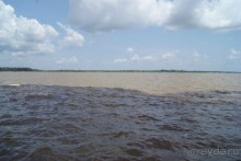 Бразилия, самостоятельные путешествия, часть 2. Манаус, Амазонка, джунгли