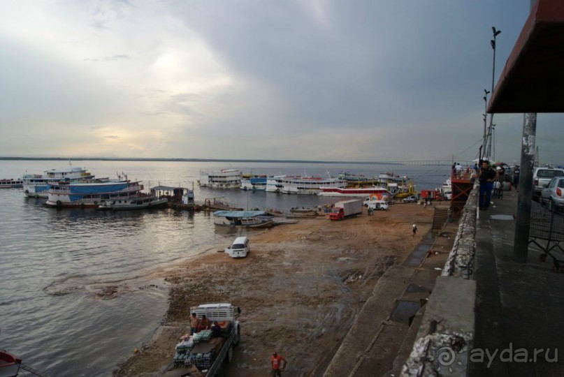 Бразилия, самостоятельные путешествия, часть 2. Манаус, Амазонка, джунгли