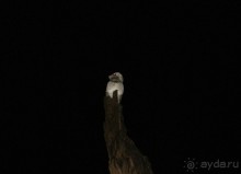 Бразилия, самостоятельные путешествия, часть 2. Манаус, Амазонка, джунгли