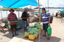 Бразилия, самостоятельные путешествия, часть 2. Манаус, Амазонка, джунгли
