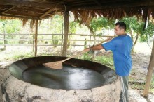 Бразилия, самостоятельные путешествия, часть 2. Манаус, Амазонка, джунгли