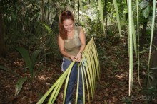 Бразилия, самостоятельные путешествия, часть 2. Манаус, Амазонка, джунгли