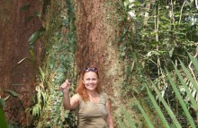 Бразилия, самостоятельные путешествия, часть 2. Манаус, Амазонка, джунгли