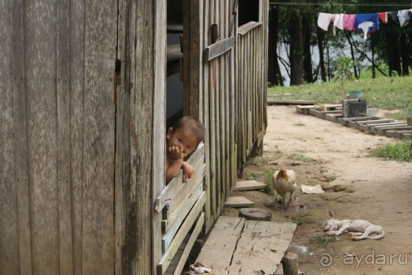 Бразилия, самостоятельные путешествия, часть 2. Манаус, Амазонка, джунгли