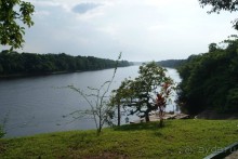 Бразилия, самостоятельные путешествия, часть 2. Манаус, Амазонка, джунгли