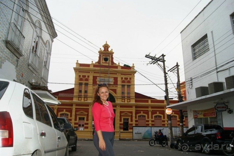 Бразилия, самостоятельные путешествия, часть 2. Манаус, Амазонка, джунгли