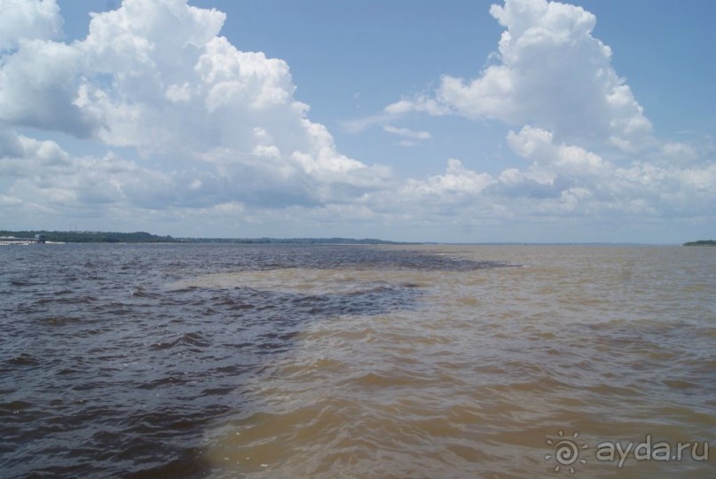 Бразилия, самостоятельные путешествия, часть 2. Манаус, Амазонка, джунгли