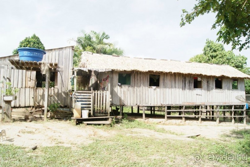 Бразилия, самостоятельные путешествия, часть 2. Манаус, Амазонка, джунгли