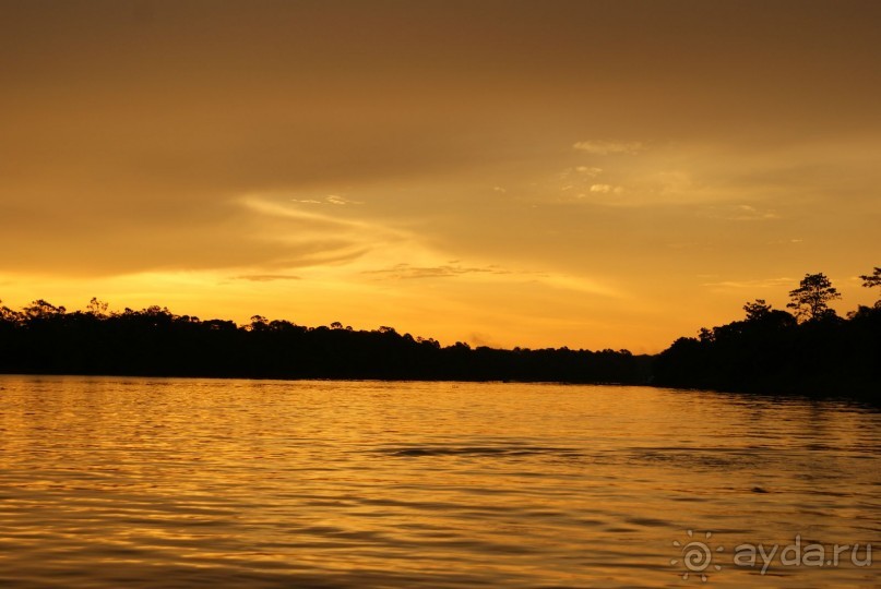 Бразилия, самостоятельные путешествия, часть 2. Манаус, Амазонка, джунгли