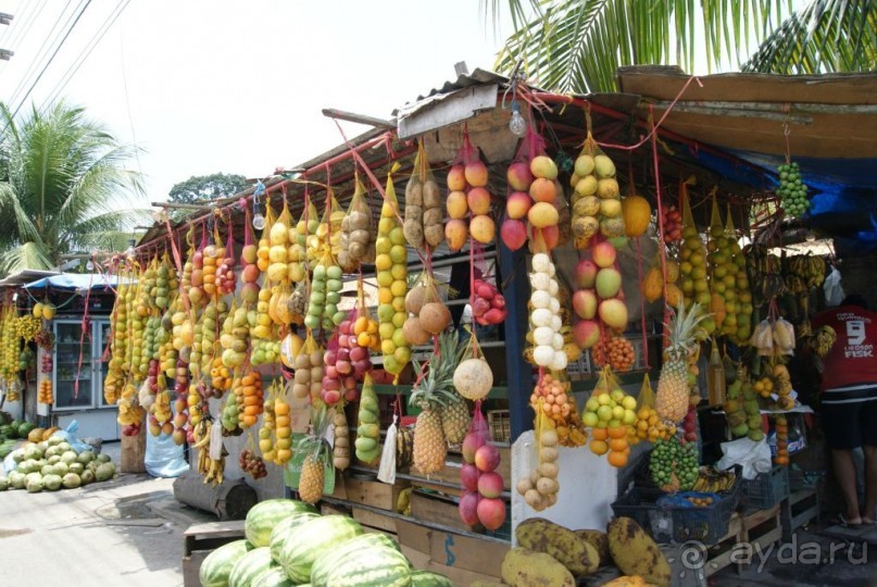 Бразилия, самостоятельные путешествия, часть 2. Манаус, Амазонка, джунгли