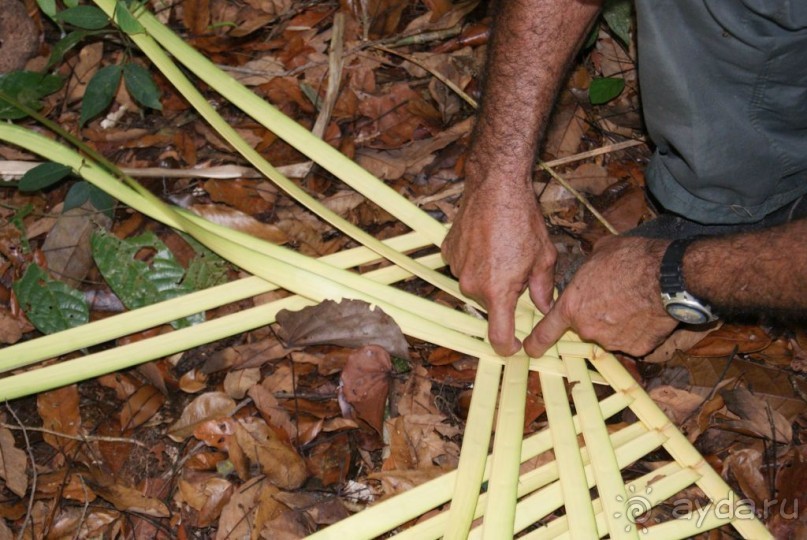 Бразилия, самостоятельные путешествия, часть 2. Манаус, Амазонка, джунгли