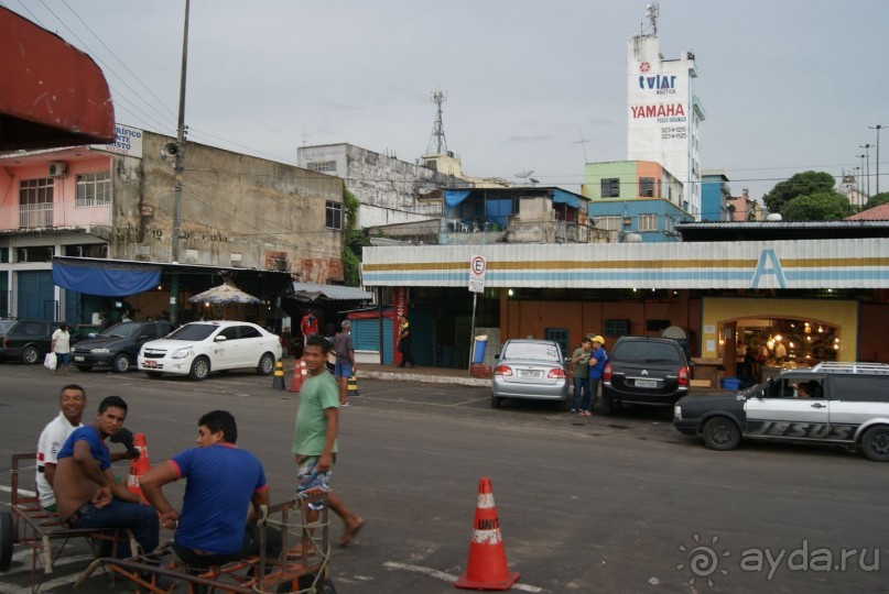 Бразилия, самостоятельные путешествия, часть 2. Манаус, Амазонка, джунгли