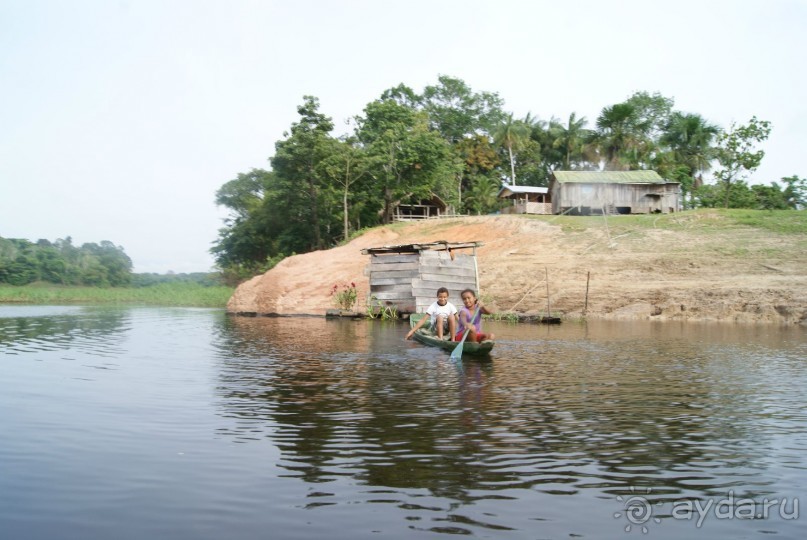 Бразилия, самостоятельные путешествия, часть 2. Манаус, Амазонка, джунгли