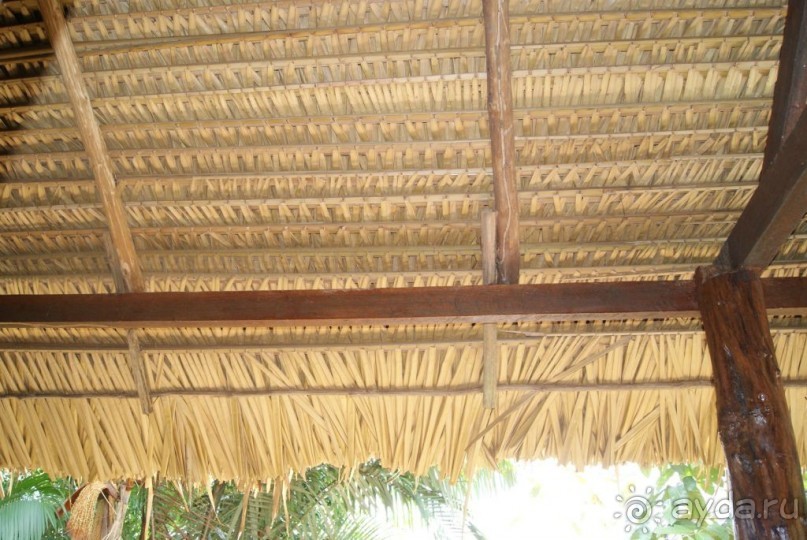 Бразилия, самостоятельные путешествия, часть 2. Манаус, Амазонка, джунгли