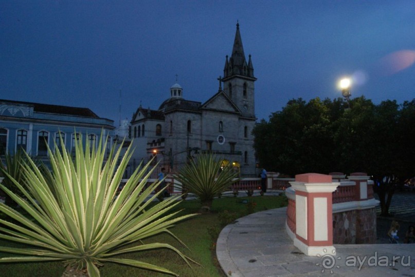 Бразилия, самостоятельные путешествия, часть 2. Манаус, Амазонка, джунгли